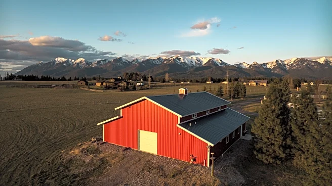 The Link Farm: 01.09.2025