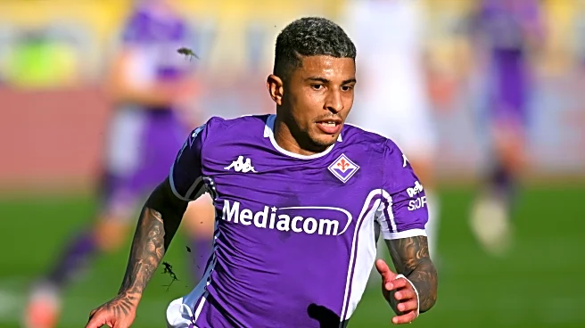 Fiorentina vs AC Milan: Preview