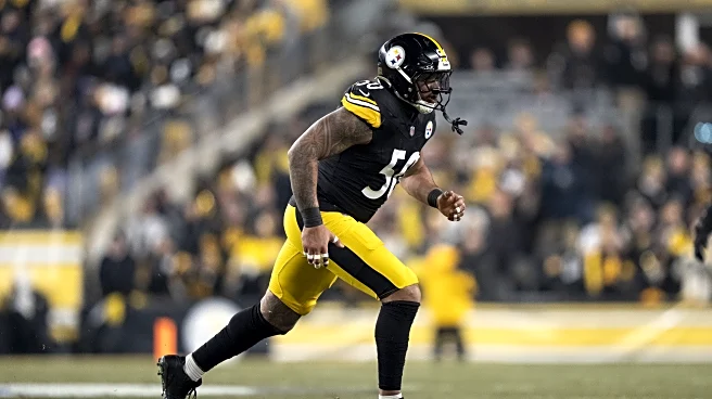 Steelers $10 million defender named top cut candidate