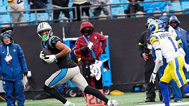 Seahawks fan discussion: Let’s go, Panthers! Beat the Rams again!