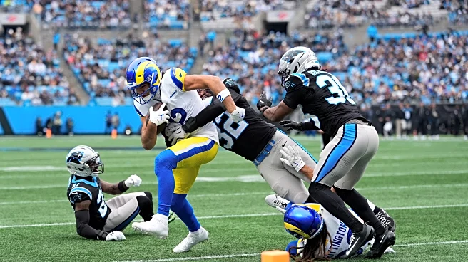 Panthers vs. Rams: Wild Card Open Thread