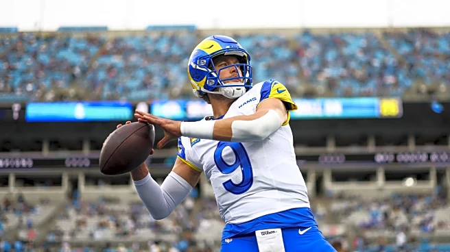 Patriots rooting guide for NFL wild card weekend