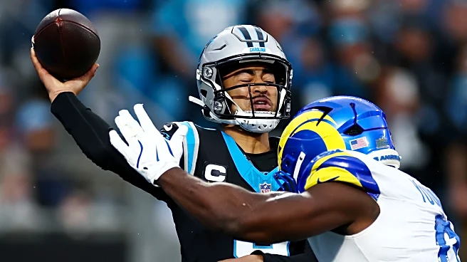 Recap and Reaction: The Panthers almost did it