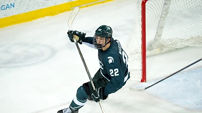 Spartan Hockey Splits With Buckeyes