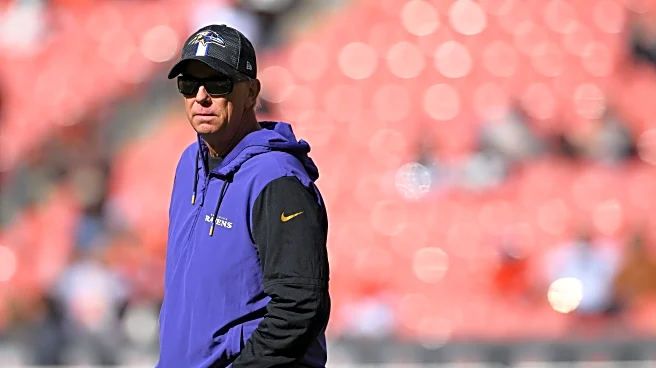 Sunday Dawg Chow (1/11): Everyone gets a HC interview!