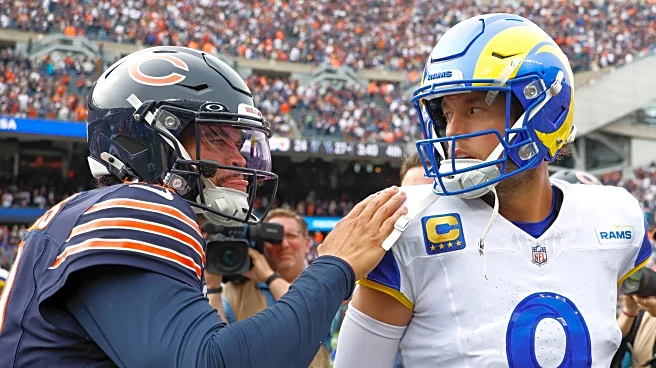Rams-Bears Divisional Round opening odds