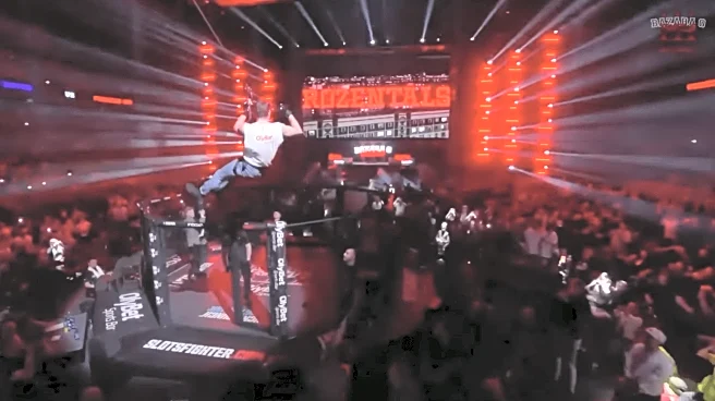 Fighter recreates Shawn Michaels’ iconic WrestleMania XII zipline entrance