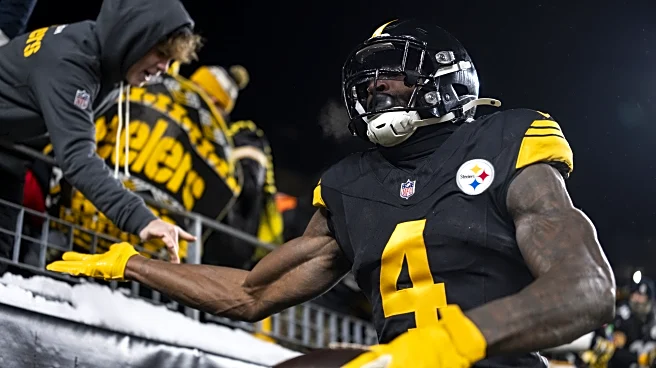 Seahawks fan discussion: Steelers vs. Texans, with DK Metcalf back on the field