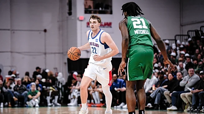 Grant Nelson’s career night not enough to lift Long Island past Stockton