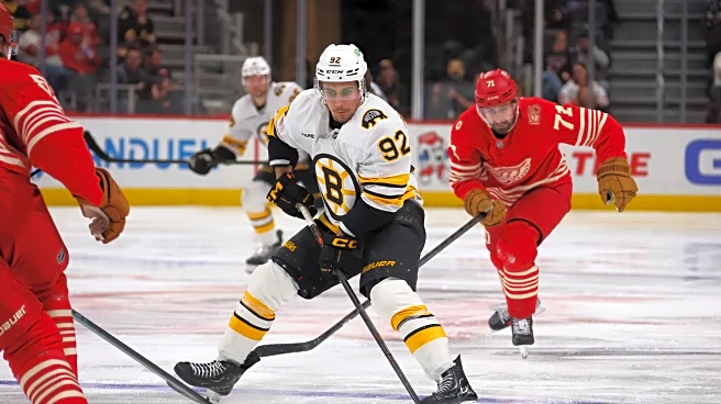 Preview: Bruins look to extend win streak with Red Wings in town