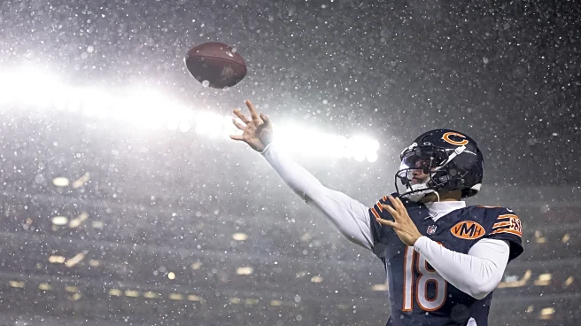 Chicago Bears Question of the Day: Was it the best throw you have ever seen?