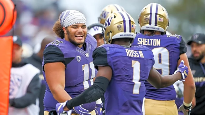 Tuesday Dots: Bearing Fruit