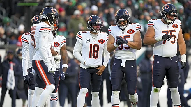 The battered and bruised Bears