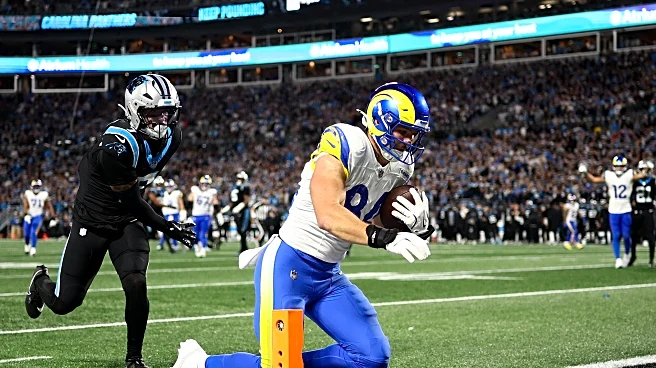 Panthers vs Rams game review: Cover 3 nightmares