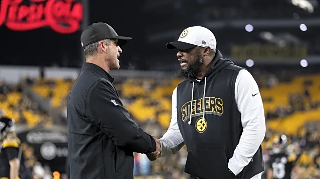 Bengals have no excuses in AFC North after recent firings