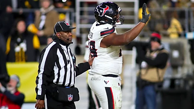 Minnesota Golden Gophers in the NFL: Wildcard Playoffs