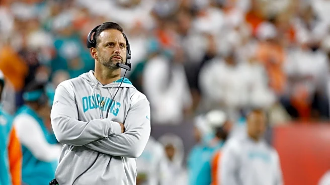 Dolphins request Anthony Campanile interview