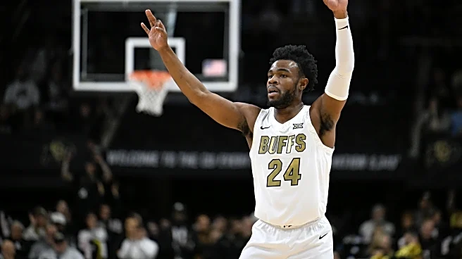 Colorado Buffaloes vs. Cincinnati Bearcats – Game Post