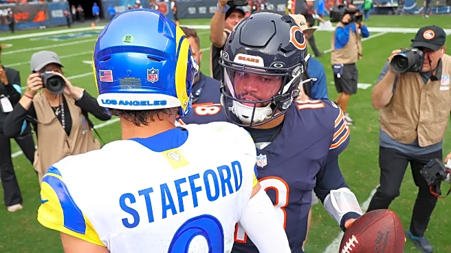 Bears Over Beers: Can Chicago Keep It Rolling vs. Rams?
