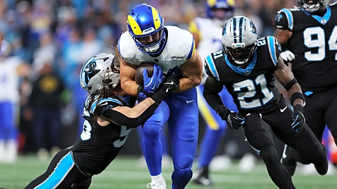 Panthers Reacts Survey: Offseason priorities