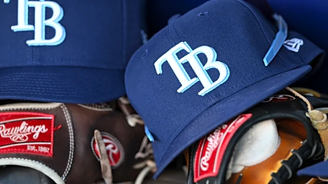 Rays 2026 International Signing Day Open Thread