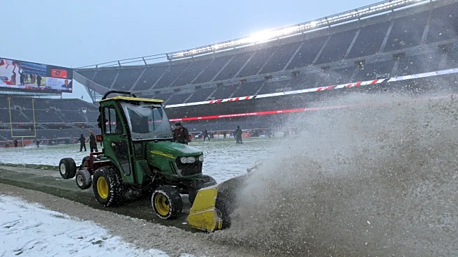 ‘Bears have weather advantage’: Freezing cold take