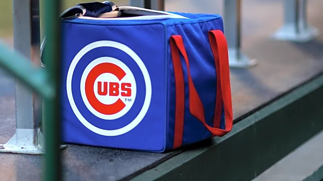 Cubs sign several International Free Agents