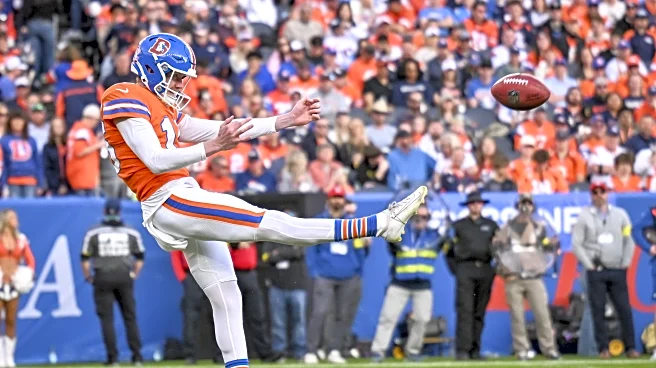 Full NFL punting review for 2025