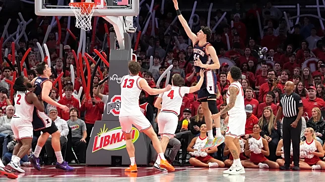 You’re Nuts: Where do we draw the line with overseas, American pros in college basketball?