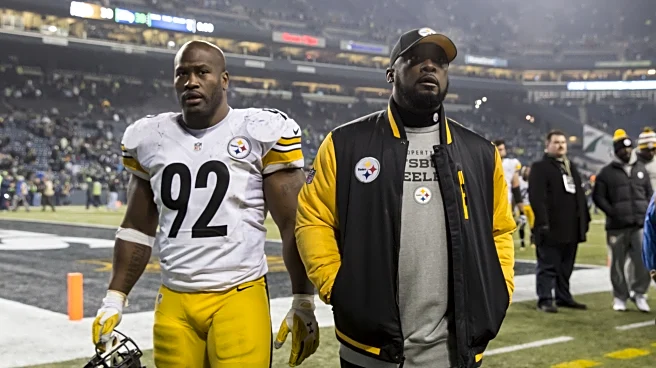 James Harrison says Mike Tomlin is not a Hall of Famer