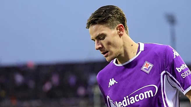 Bologna vs Fiorentina: Preview