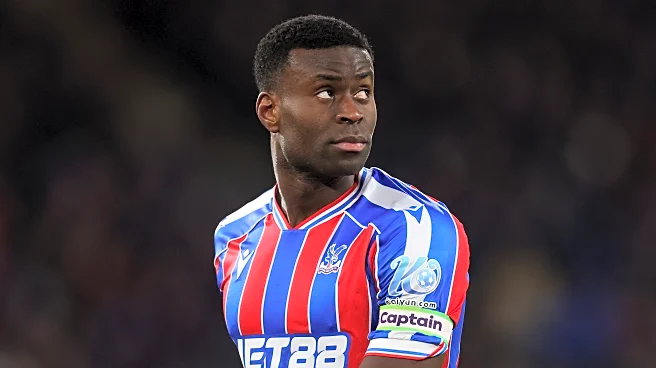 Fan Focus: What can Sunderland expect from Crystal Palace today?