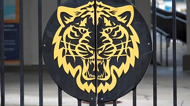 BYB 2026 Tigers prospect reports #44: OF Nick Dumesnil