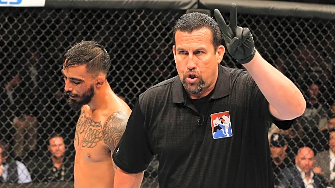 ‘Big’ John McCarthy blames UFC referees for eye poke epidemic: ‘It’s your fault!’