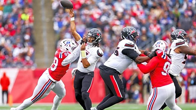 NFL Divisional Playoffs: Houston Texans vs New England Patriots