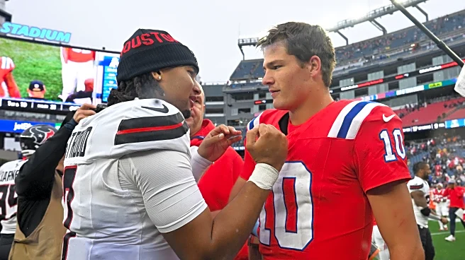 Patriots vs. Texans: Divisional Playoff Open Thread