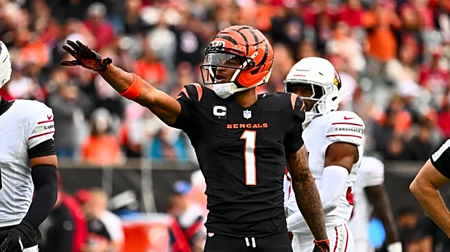 Bengals News (1/19): 2025 Awards