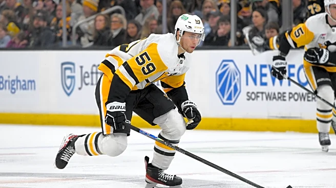 Pens Points: Chinakhov and Malkin finding chemistry