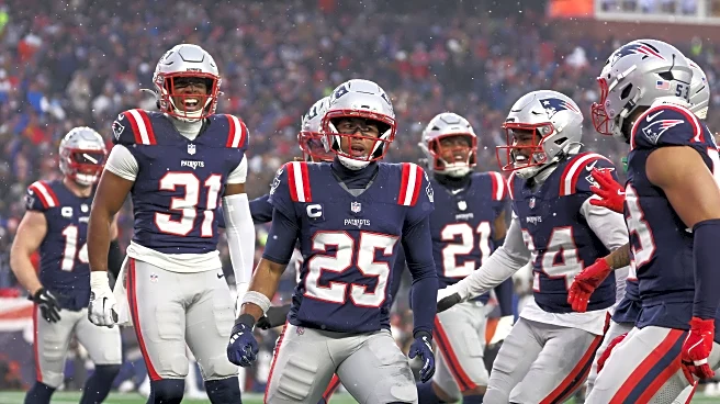 Patriots defense fueled by Texans hype to secure divisional round win