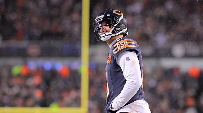 Bears vs Rams: Inside the Snap Counts, Stats, and the Disapointment