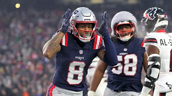 Fan Notes from the Patriots’ divisional playoff win over the Texans