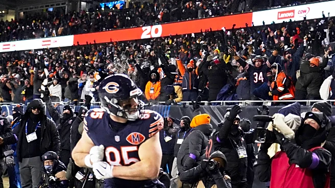 Bear & Balanced: The Chicago Bears Will Be Back