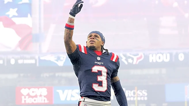 Patriots vs. Texans snap counts from NFL divisional playoffs