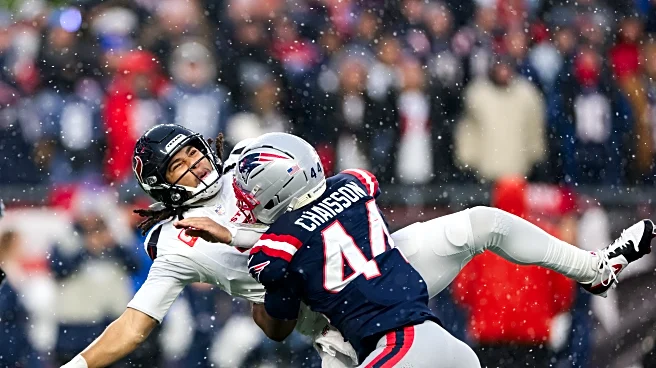 The Day After the Day After: The Houston Texans fall to the New England Patriots 28-16 in their season finale