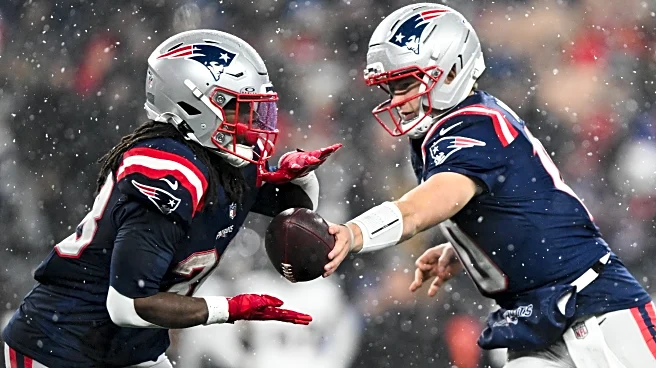 Patriots position grades from playoff win over Texans