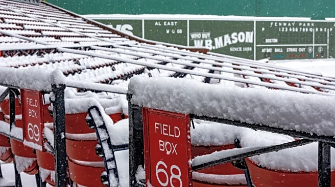 OTM Open Thread 1/20: There is baseball somewhere