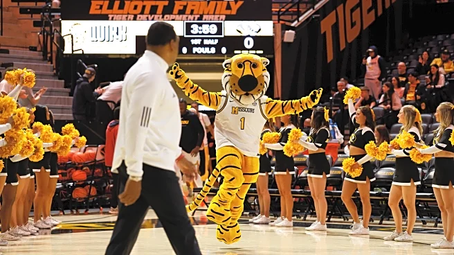 MBB Preview: Tigers welcome the No. 21 Georgia Bulldogs to Columbia