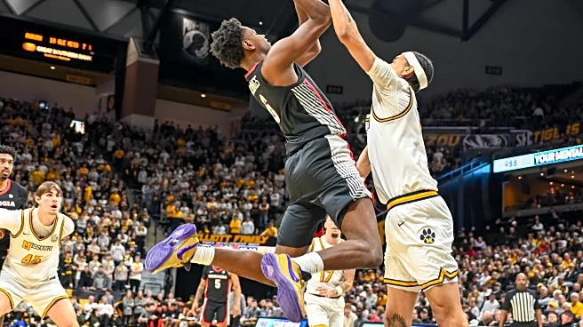 Mizzou falls to top-25 Georgia in 74-72 nailbiter