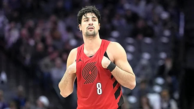 Deni Avdija’s Road to the NBA Was Rocky (and Remains So)