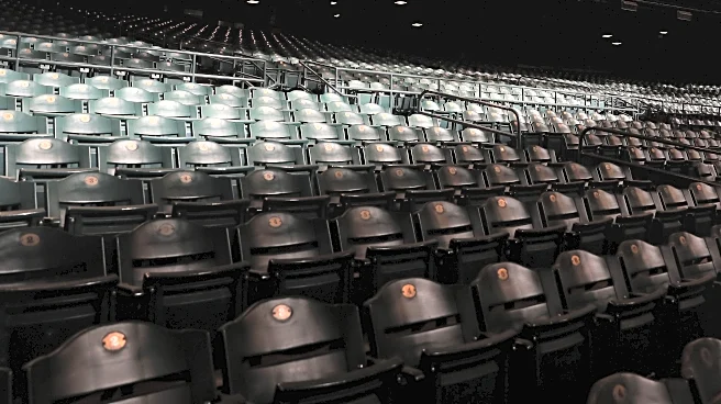 The popularity of baseball